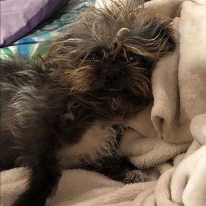 Meet your Posher, Abigail